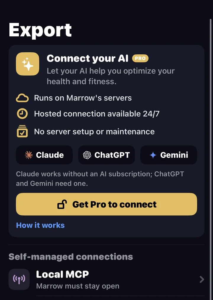 The Export tab with Connect your AI for Claude, ChatGPT and Gemini
