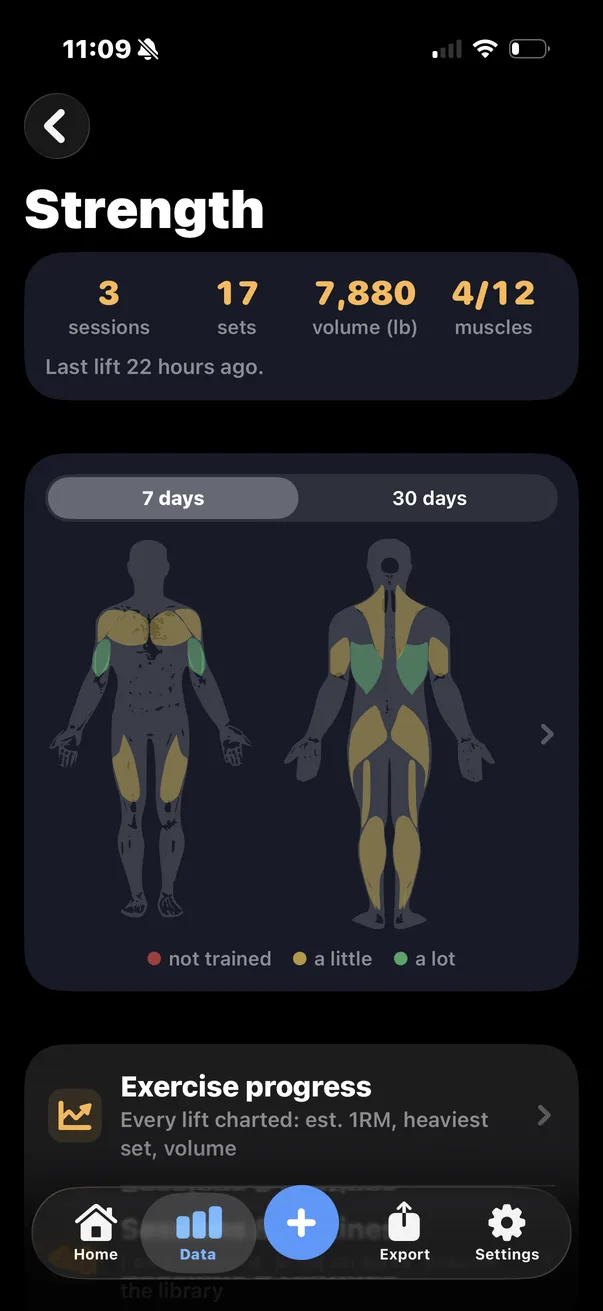 The Strength screen: sessions, sets, volume and a body map of muscles trained